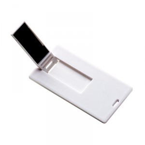 Mini Card USB 2.0 2 GB