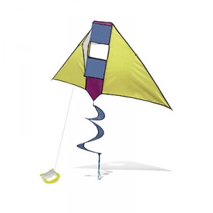Fun kite