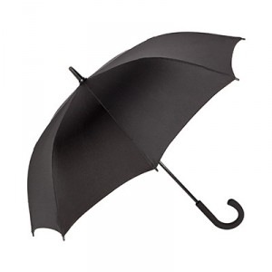 Carbon fibre umbrella
