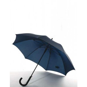 Automatische Windproof Stick Paraplu
